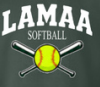Youth Forest green hoodie with softball and bat