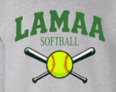 Youth Steel Grey Hoodie Softball and Bat
